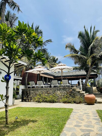 Chelsi Blu by The Governor