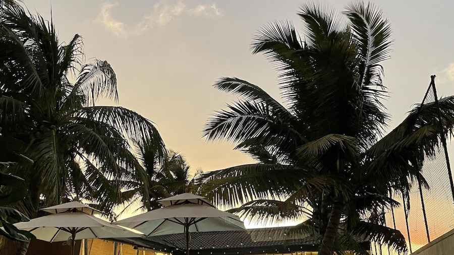 Chelsi Blu by The Governor