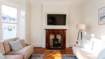 TV, fireplace, books