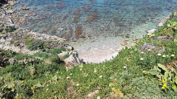 A coastal landscape with clear water, rocky shore, and green vegetation. - Tramonti d' alba bed and breakfast (Terrasini)