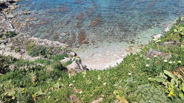 A coastal landscape with clear water, rocky shore, and green vegetation. - Tramonti d' alba bed and breakfast (Terrasini)