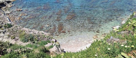Paisagem costeira com águas claras, margem rochosa e vegetação verde.