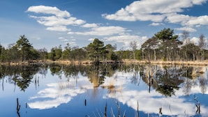 A calm lake with reflections of trees and sky.