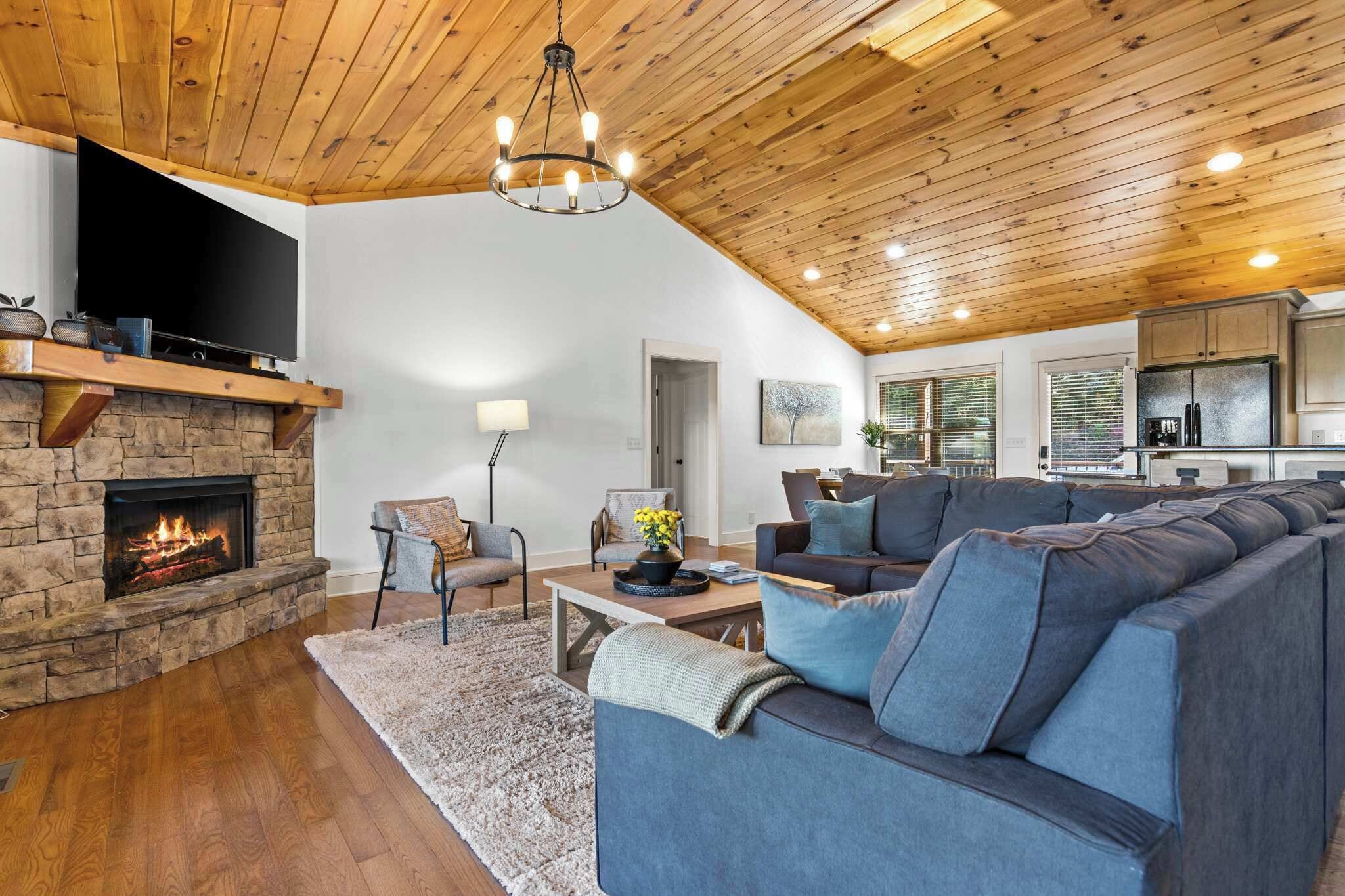 TV, fireplace, books, stereo