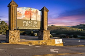 مكان جذب سياحي