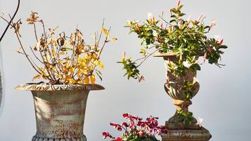 Vista frontal de la propiedad