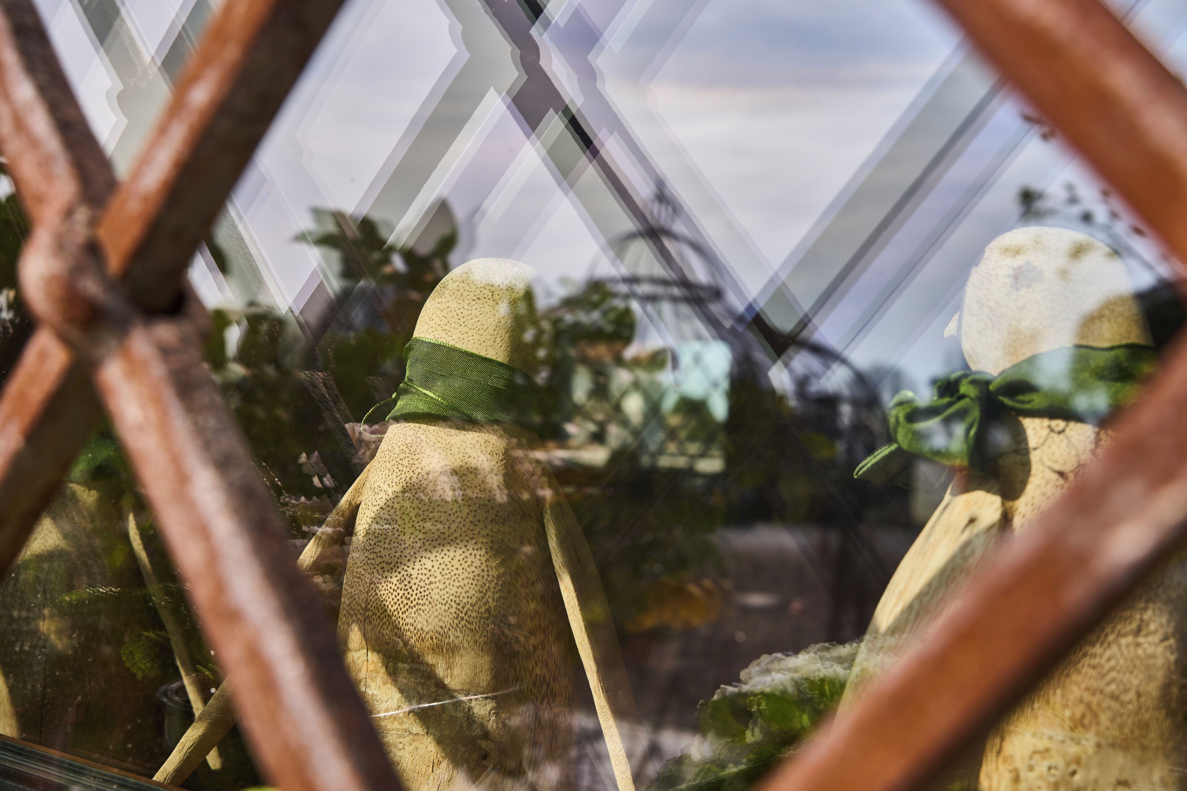 Un invernadero con plantas y una estructura en su interior.
