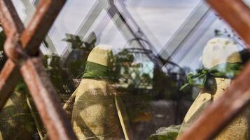 Un invernadero con plantas y una estructura en su interior.