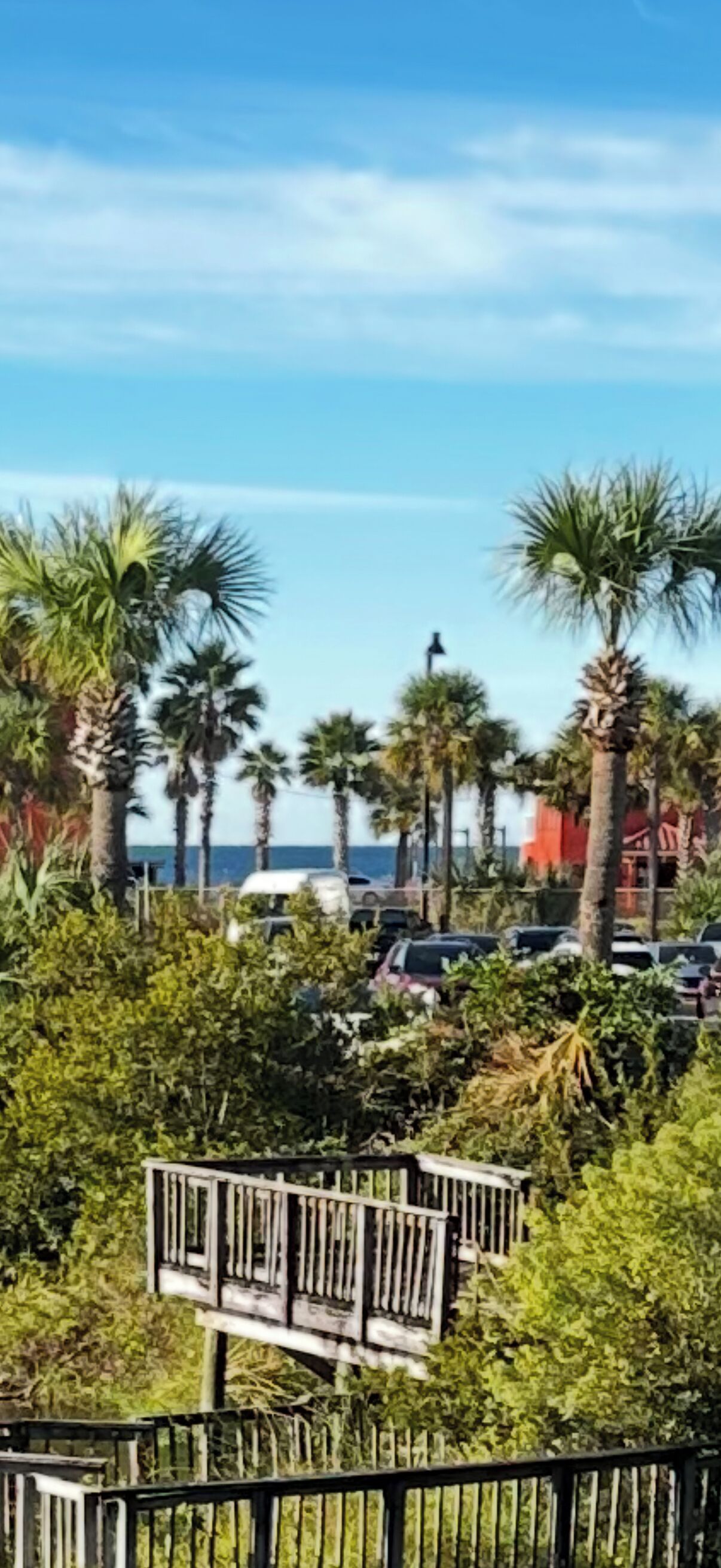 A parking area with palm trees and a clear sky.