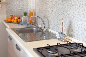 Fridge, oven, stovetop, cookware/dishes/utensils