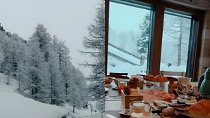Una mesa de comedor con alimentos para el desayuno y vistas a un bosque nevado a través de amplios ventanales.