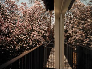 Front of property - Villa Giacomuzzi (Bolzano)