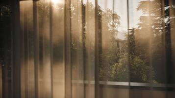 A window with vertical blinds partially open, allowing sunlight to filter through and illuminate a view of trees and a building.