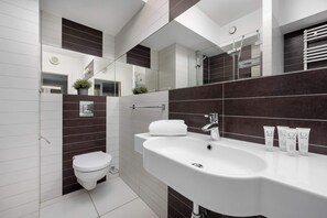 Douche, séchoir à cheveux, serviettes fournies