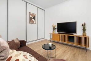 Fernseher, Arbeitsbereiche