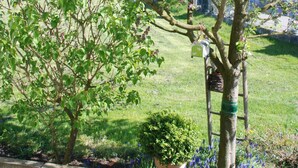 Ein Baum mit einem Vogelhaus, einer Topfpflanze und einer anliegenden Leiter.