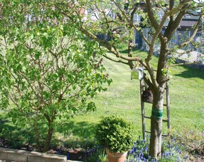 Property grounds - Apartment 'Vogelnest' with Private Garden and Wi-Fi (Teningen)