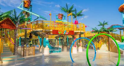 Great Tampa Location — Near Busch Gardens, Adventure Island & Freeway Access