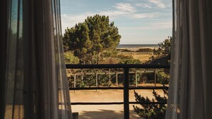 A view from a window with curtains, overlooking a vineyard and a beach.