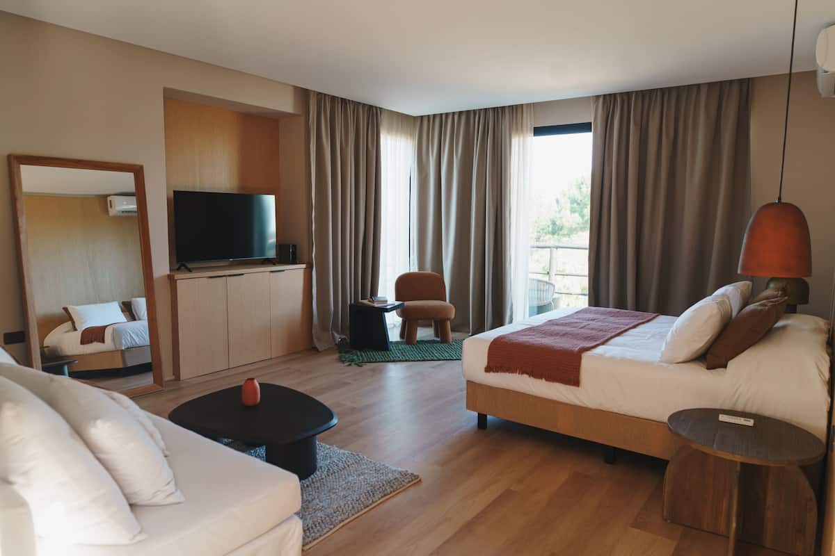 A hotel room with a bed, a sofa, a TV, a desk, and a chair.