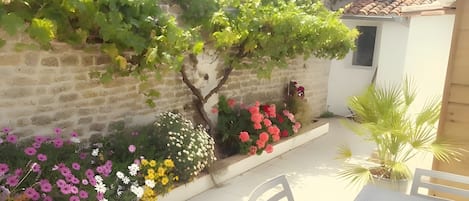 Restauration en plein air