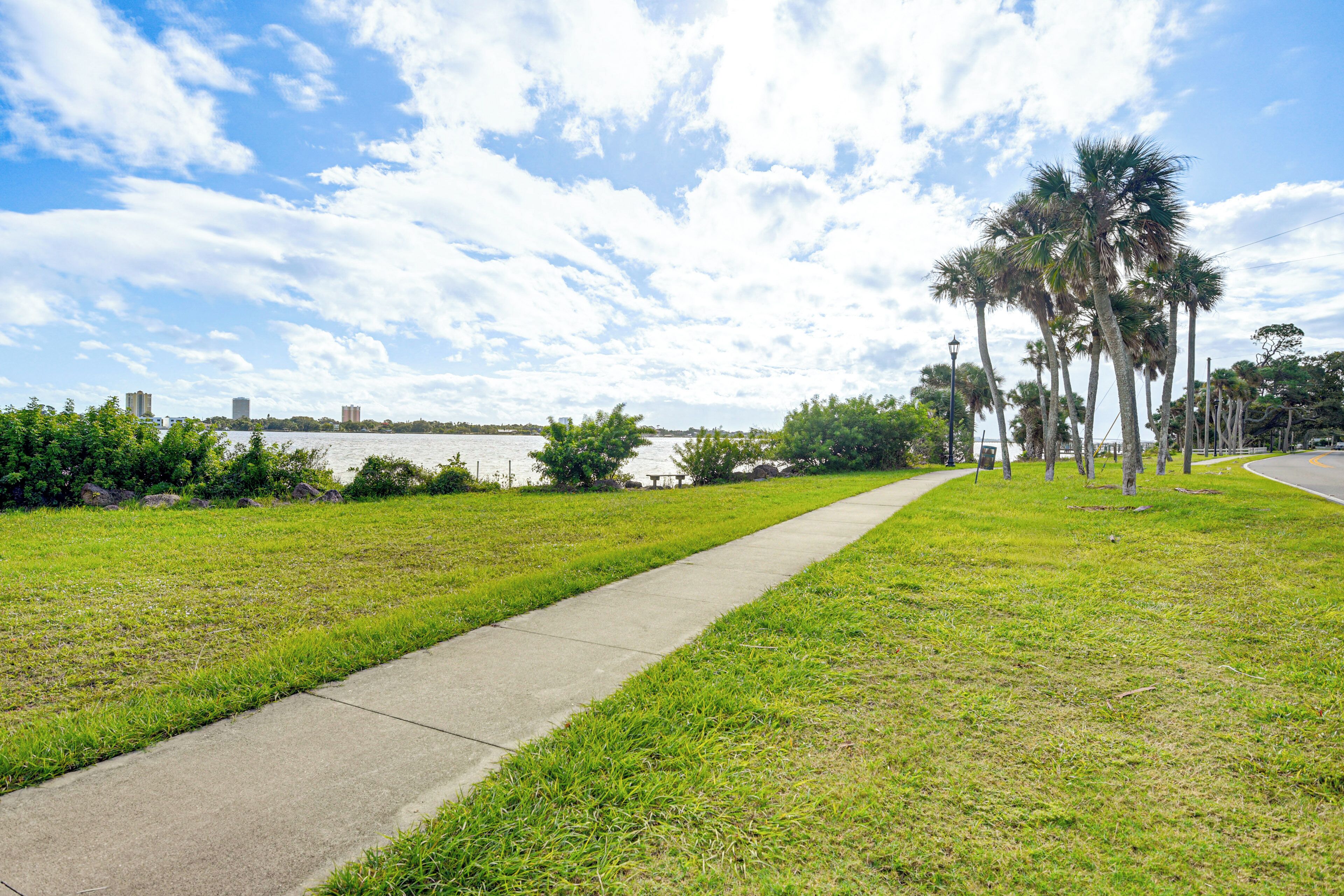 A paved walkway alongside a grassy area with palm trees and a body of water in the background.