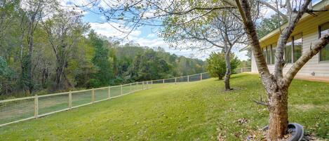 A grassy yard with a wooden fence, a tree with a tire swing, and a house in the background.