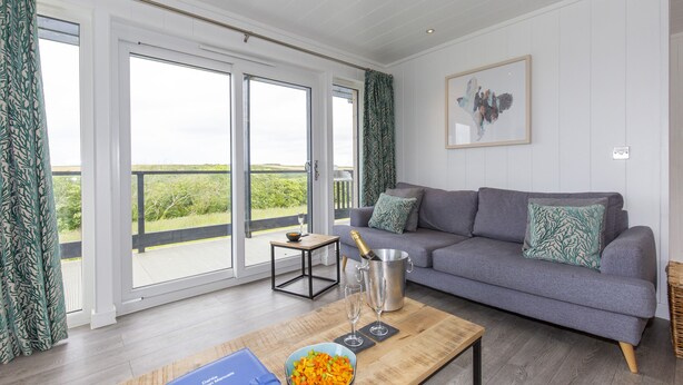 A living room with a grey sofa, a wooden coffee table with a bowl of fruit, a champagne bottle, and a framed artwork on the wall. - Dahlia (Redruth)