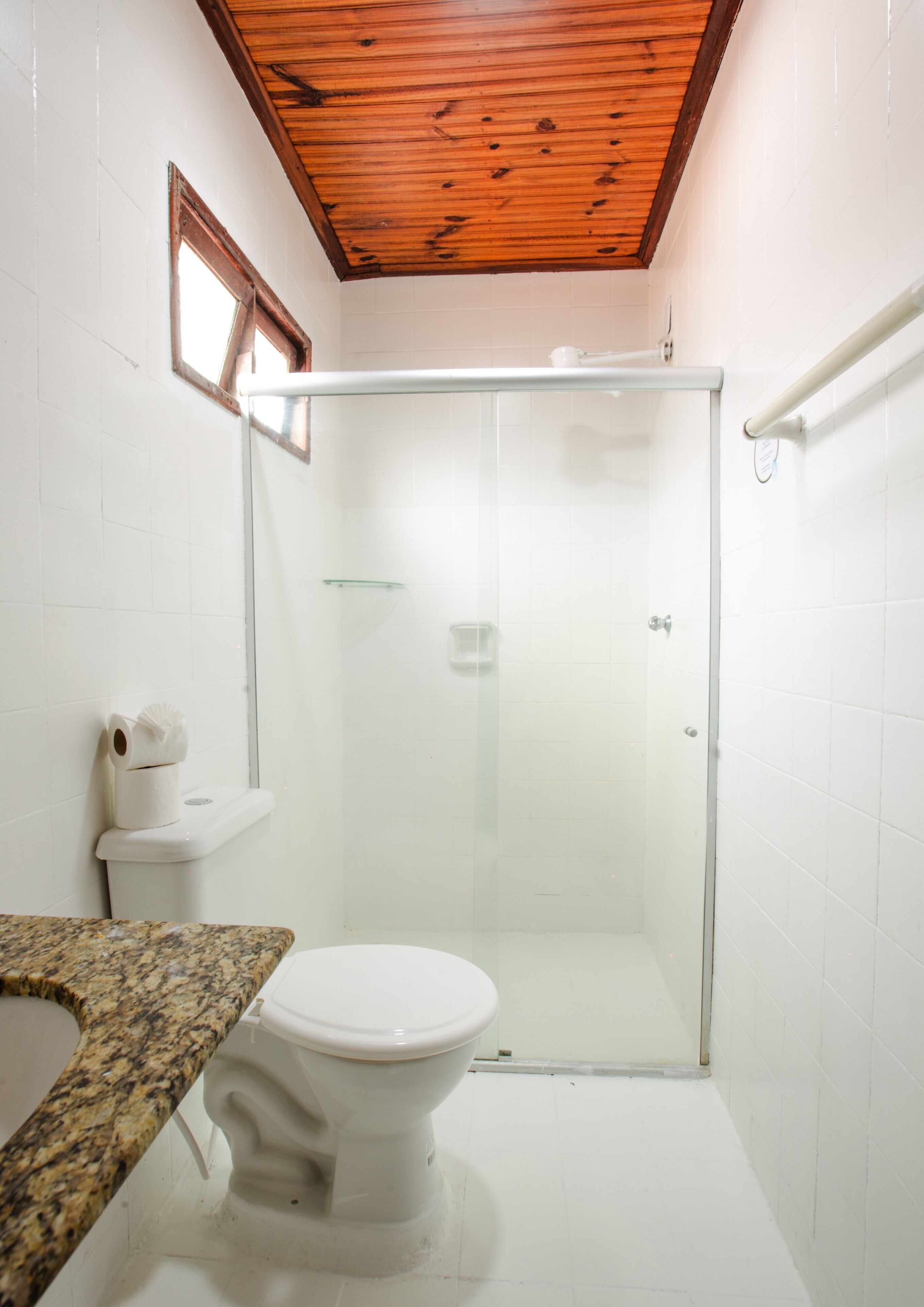 A bathroom with a shower enclosure, toilet, and a granite countertop.