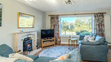 Televisión y chimenea