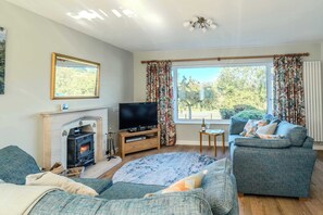 Televisión y chimenea 