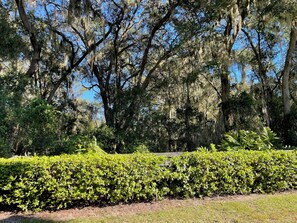 Property grounds - Your happy place starts at the end of this cul-de-sac! (The Villages)