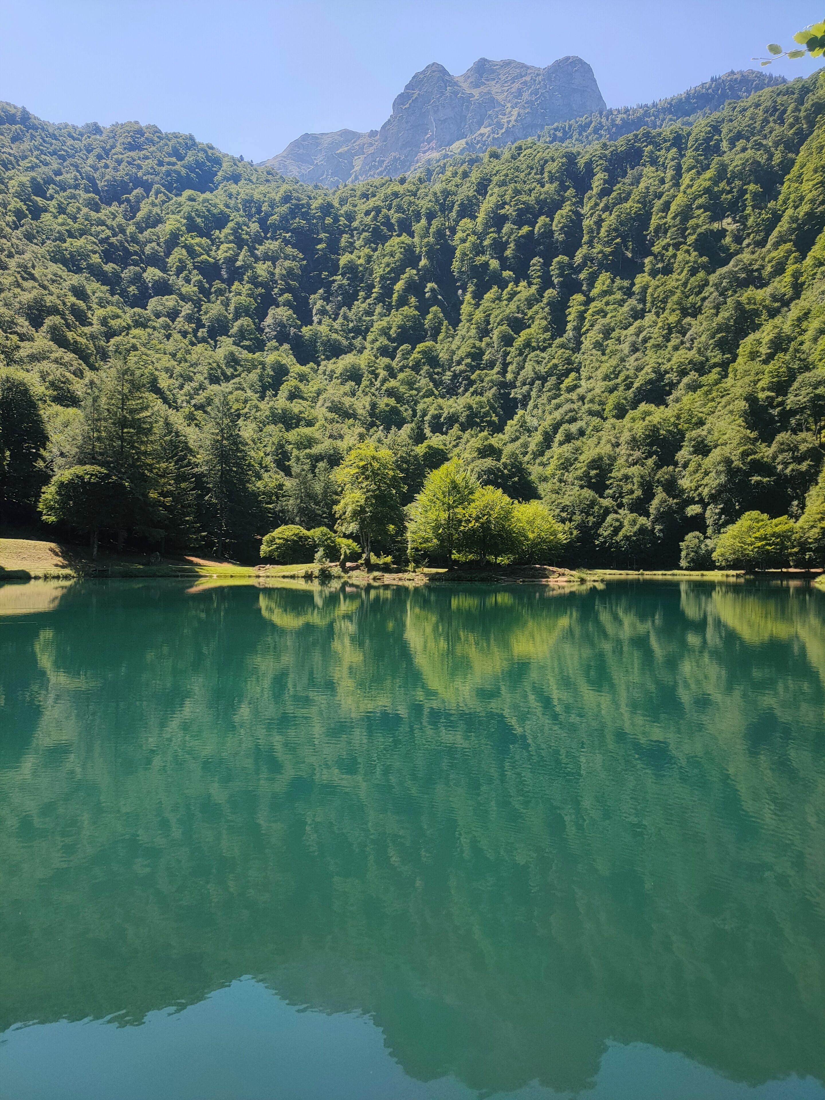 A serene lake surrounded by dense forest and mountains.