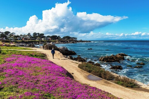 3987 Lovers Point Whitewater Cottage, Bay View!