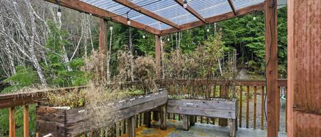 House, 3 Bedrooms | Property grounds