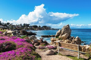 A coastal landscape with a rocky shoreline, a wooden bench, and purple flowers.