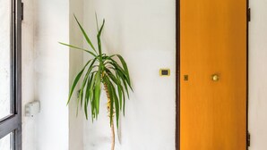 A door with a keyhole and a small lock plate, a potted plant, and a wall-mounted light switch. - Tolentino Studio Flat by Napoliapartments (Naples)