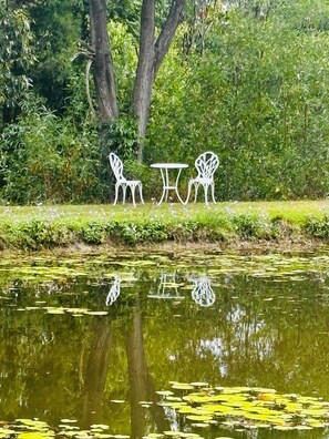 المنطقة المحيطة بالمنشأة
