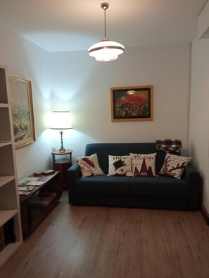 Living area - 'Casetta Gialla' Apartment with Private Terrace (Pieve di Cadore)