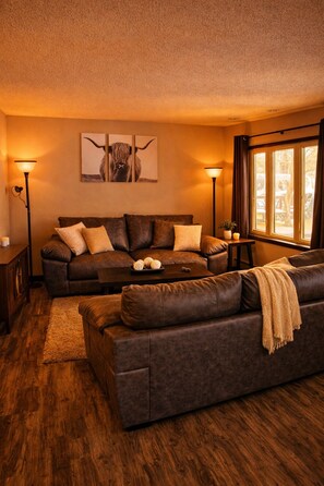 Smart TV, fireplace, books