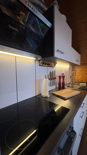 Oven, stovetop, dishwasher
