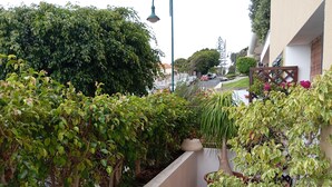 A narrow balcony with various potted plants and a large hedge.