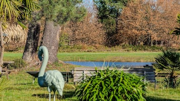 Terrein van de accommodatie