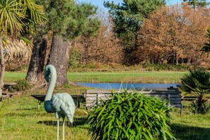 Terrein van de accommodatie