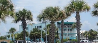 Beachview Condo 226, nearly touching the Hangout & Beach, cleaning fee included!