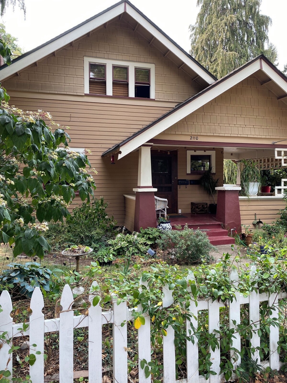 Image de profil de l’hôte