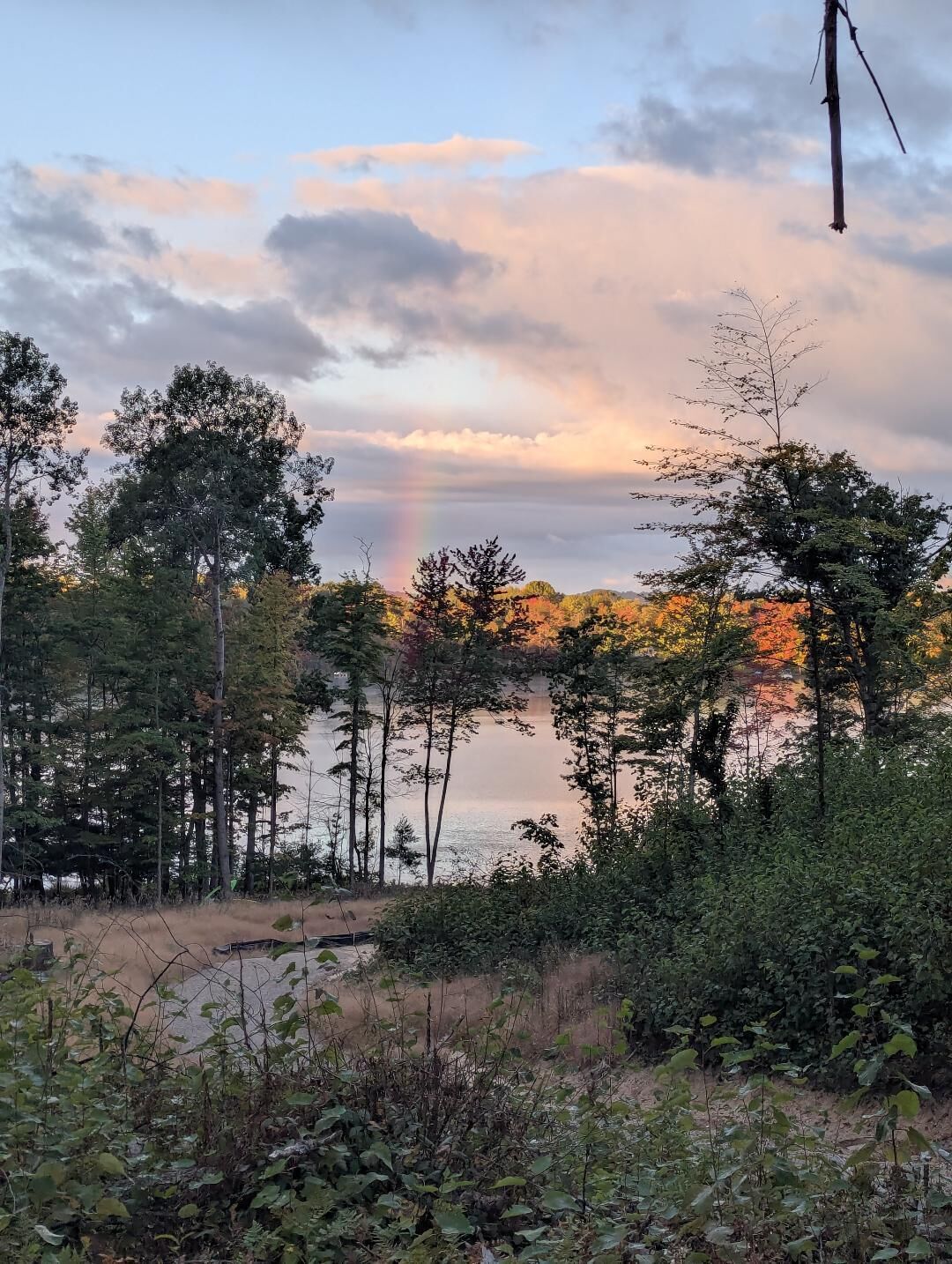 A forested area with a body of water, trees, and a wind turbine.