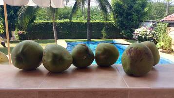 Room, 1 Bedroom, Smoking, Private Pool | Pool