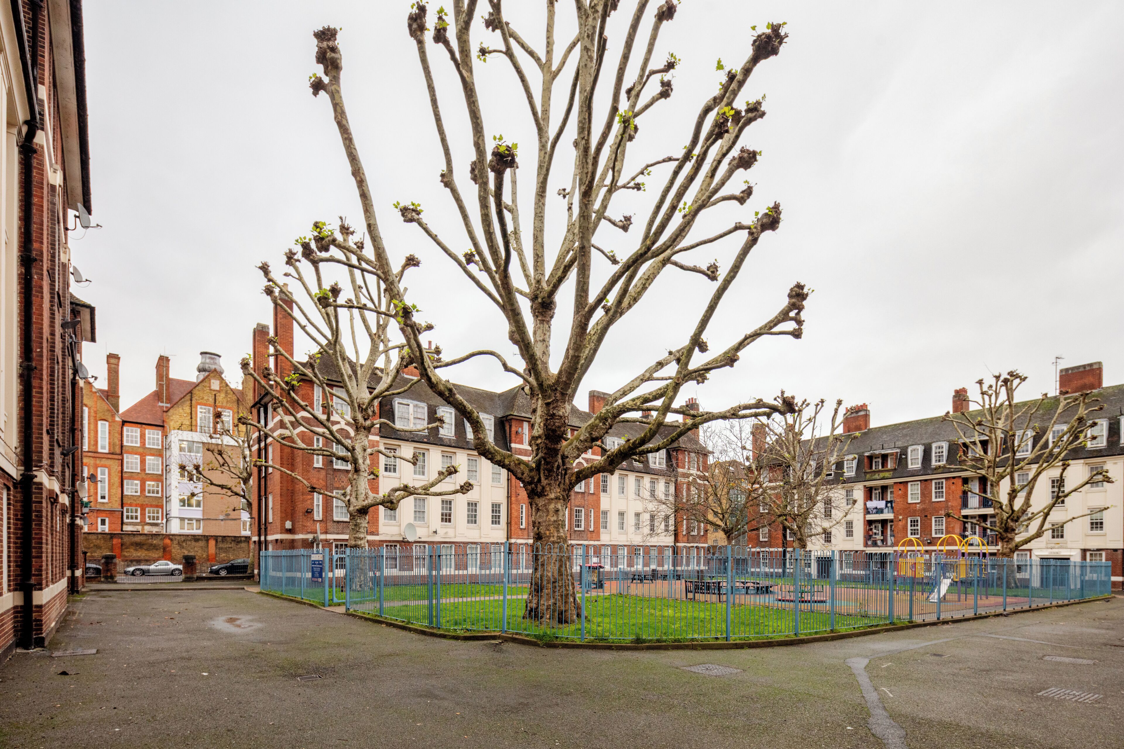 A tree-lined street with residential buildings, a fenced playground, and a car parked on the side.
