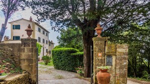 A stone pathway leading to a building with a traditional facade, a large tree, and a potted plant. - 'Ficaiola' Room with Shared Pool and Garden (Massa Marittima)